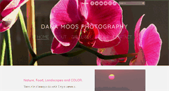 Desktop Screenshot of danamoosphotography.com