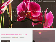 Tablet Screenshot of danamoosphotography.com